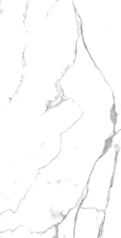 Modern Satvario Black-60X120-Face2