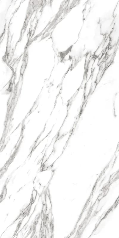 SYNO GREY_C_1